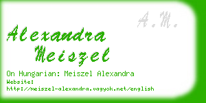 alexandra meiszel business card